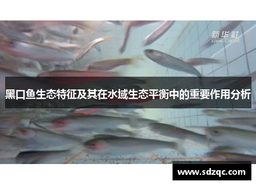 黑口鱼生态特征及其在水域生态平衡中的重要作用分析