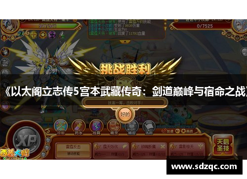 《以太阁立志传5宫本武藏传奇：剑道巅峰与宿命之战》