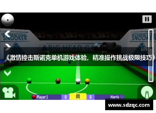 《激情撞击斯诺克单机游戏体验，精准操作挑战极限技巧》